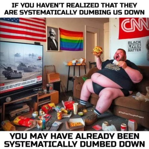 05b03909cc027980359f790f78864c8c_768x0