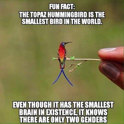 FB_IMG_1697747371227