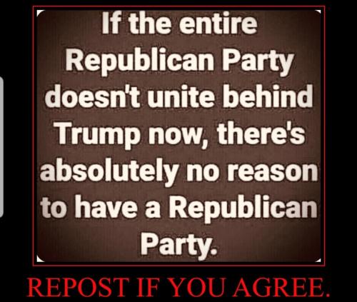 Screenshot_20231028-162814_Chrome