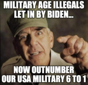 illegal immigration362