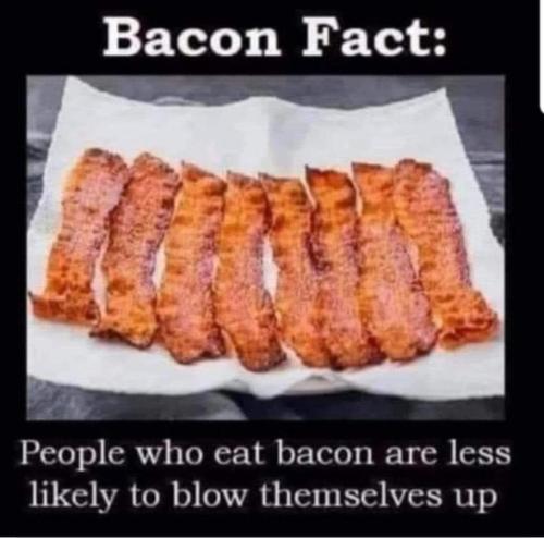 FB_IMG_1696351476335