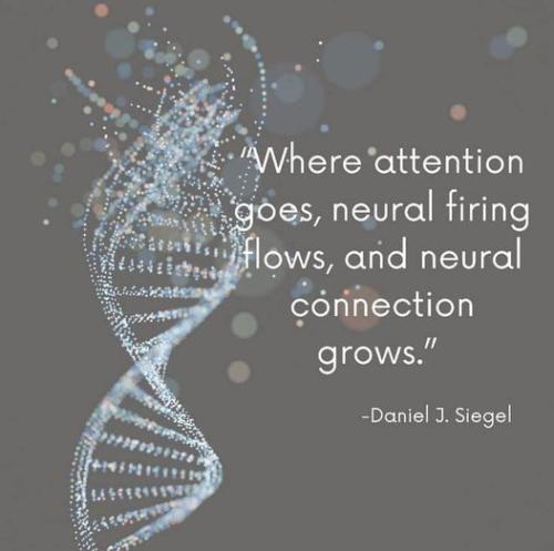 .   383219736_67170564160