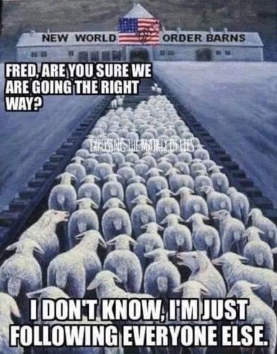 b0582898-1525-4c8e-8fd4-69ff1aba4f65