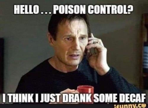 313370313_172043822080014_3432729028828634354_n