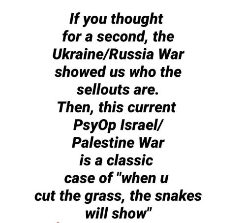 Collage 2023-10-11 02_10_13