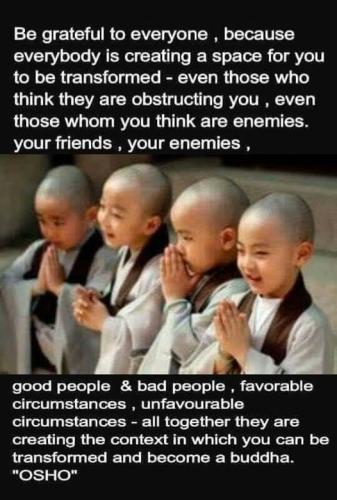 .             394784533_23939208395