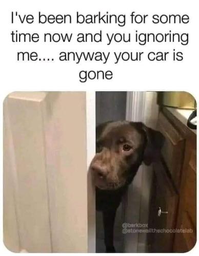 FB_IMG_1697205728154