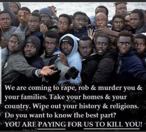 Screenshot_20231016-153102_MeWe