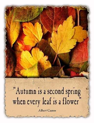 FB_IMG_1696090797134