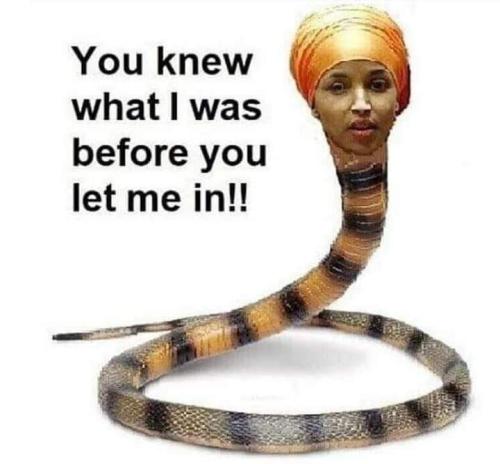 FB_IMG_1697564276624