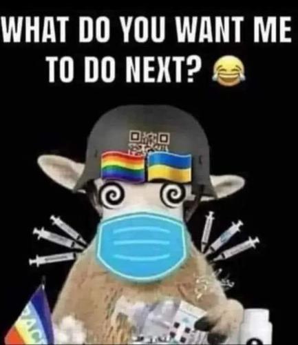 FB_IMG_1698333940640