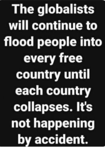 97ADE8E4-A8ED-426E-98CF-10A61F34BF34