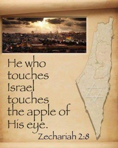 9769a6ec-3d81-4b70-b179-3bfa6054bb47