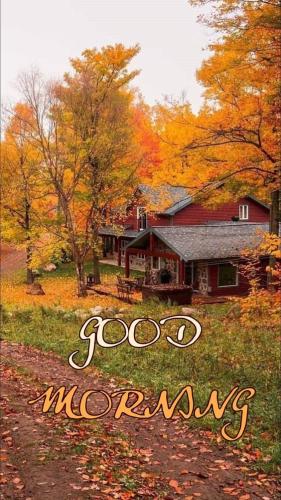 fall morning 15