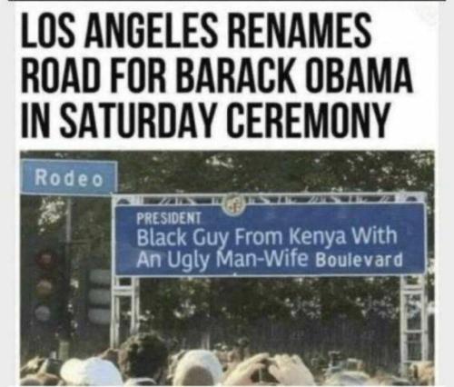 2206ab86-ae1e-4105-8442-76ce281e370f