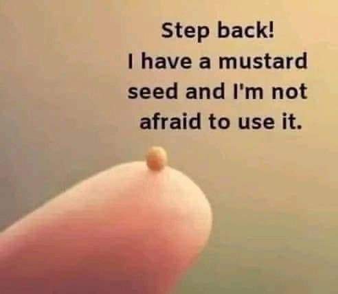 FB_IMG_1696835132442