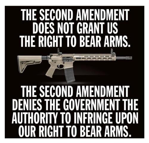 bear arms g