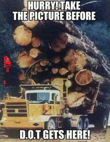 FB_IMG_1698349488514