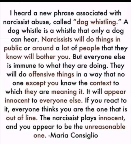 FB_IMG_1698066033000