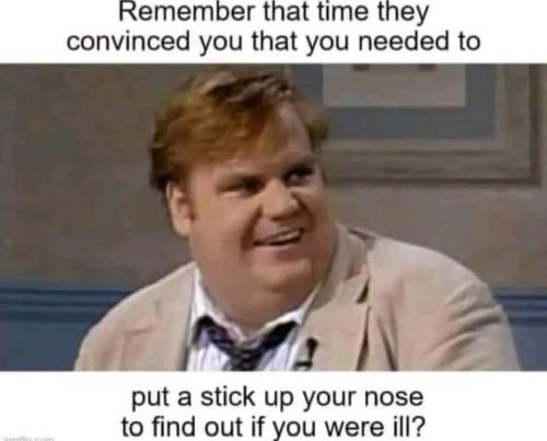 FB_IMG_1696412385511