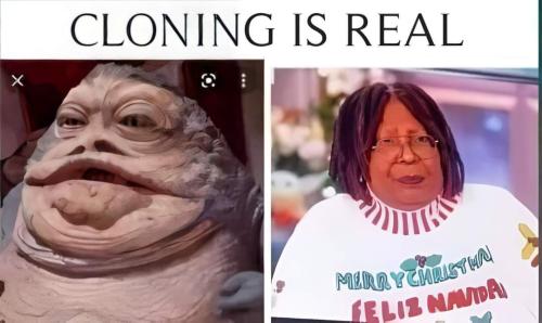 FB_IMG_1698091339246