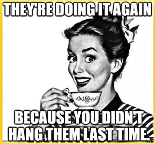 IMG_20231024_070608_532