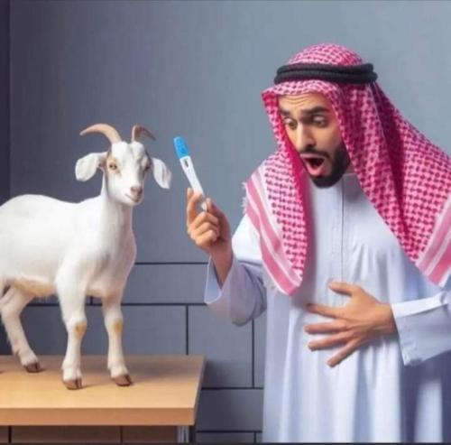 FB_IMG_1698161919587