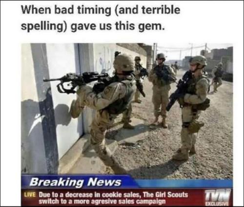 girl scout cookies01