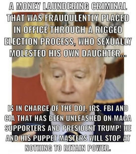 criminal activity144