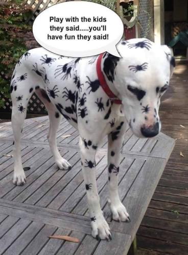 75761876-5BAF-4AF7-8976-4815E5A816CB