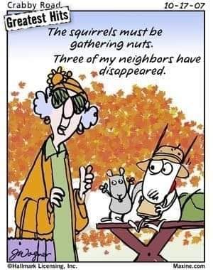 384767541_258599947156239_5037505747777986035_n