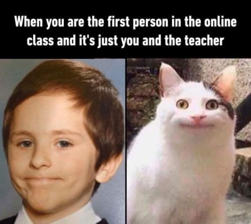 FB_IMG_1697038947870