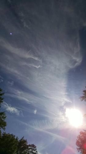 5cc80145-6e89-4ab4-aaf1-974124806477