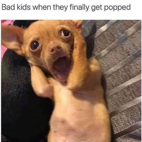 FB_IMG_1697251049727
