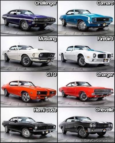 FB_IMG_1696345986256