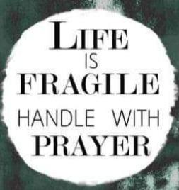 2b8d9d5e-795d-458b-8444-31dd99feec4a