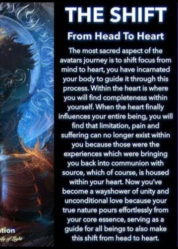 .              44353450_10156806