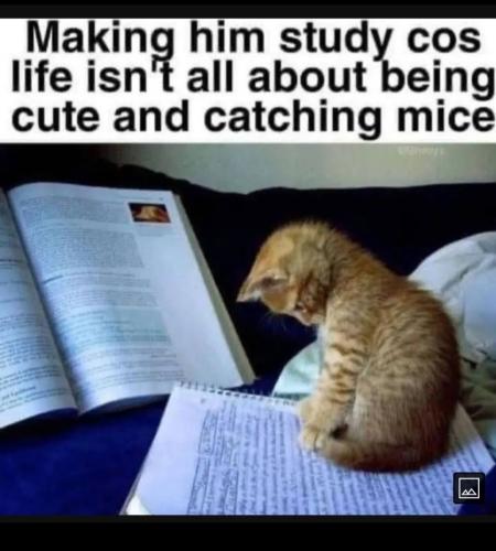 Screenshot_20231018_114237_Photos