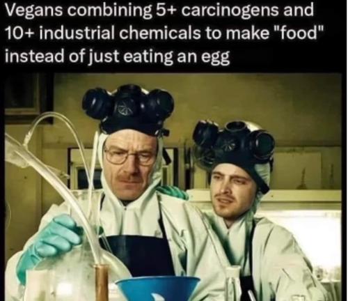 392813420_2817301521742043_1270979987466359966_n