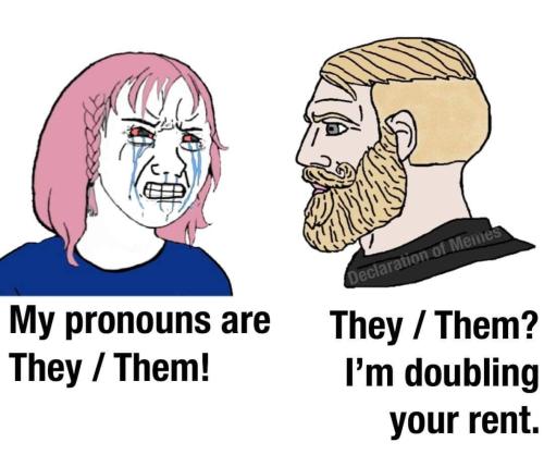 FB_IMG_1698448602648