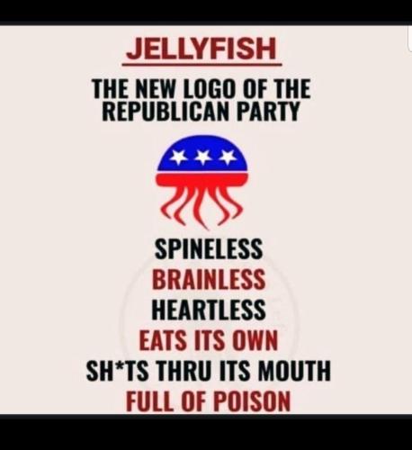 Screenshot_20231012_082859_Gallery