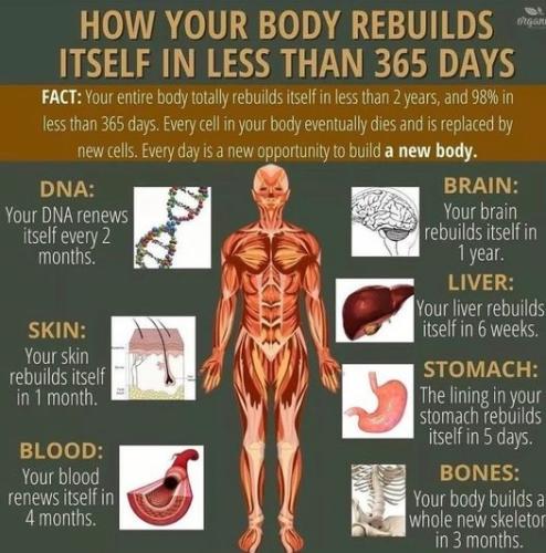 .   383219736_67170564160