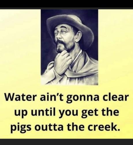 Screenshot_20231024_010526_Gallery