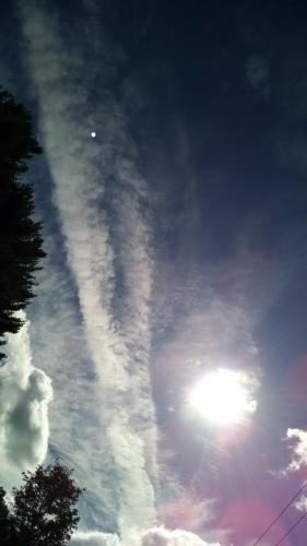 9684c6e3-e1bc-4e54-a76e-e2b6c8c74829