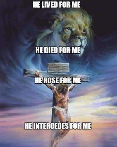 FB_IMG_1697016532714