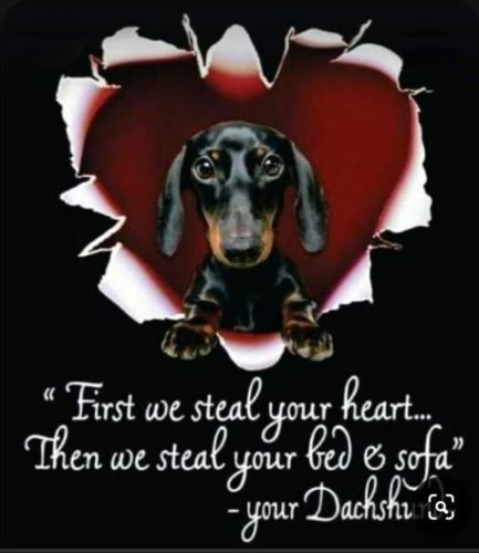 FB_IMG_1697288622819