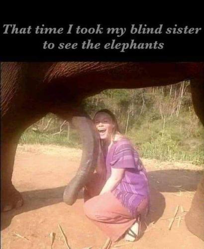 FB_IMG_1698173532254