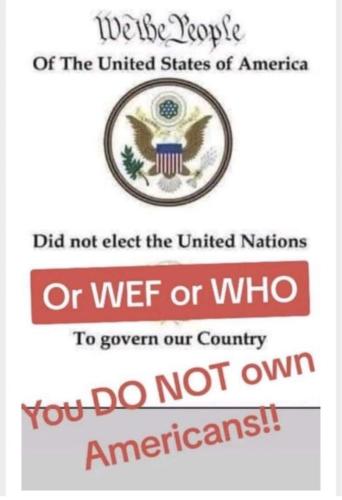 FB_IMG_1698536027081