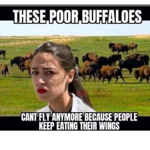 FB_IMG_1697124691450