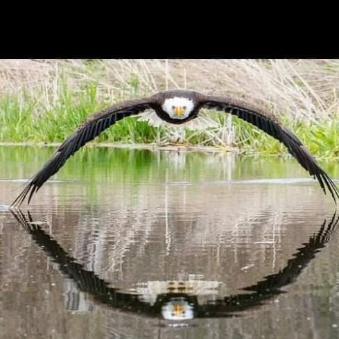 IMG_20230829_182511_198